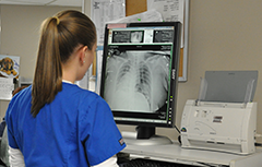 What is a radiologic technologist